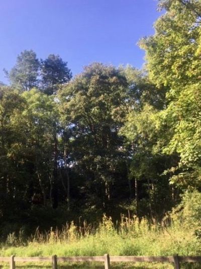 Sale Buildable land Neufchâtel-Hardelot 1786&nbsp;m²