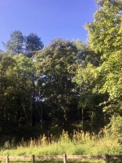 Sale Buildable land Neufchâtel-Hardelot 1786&nbsp;m²