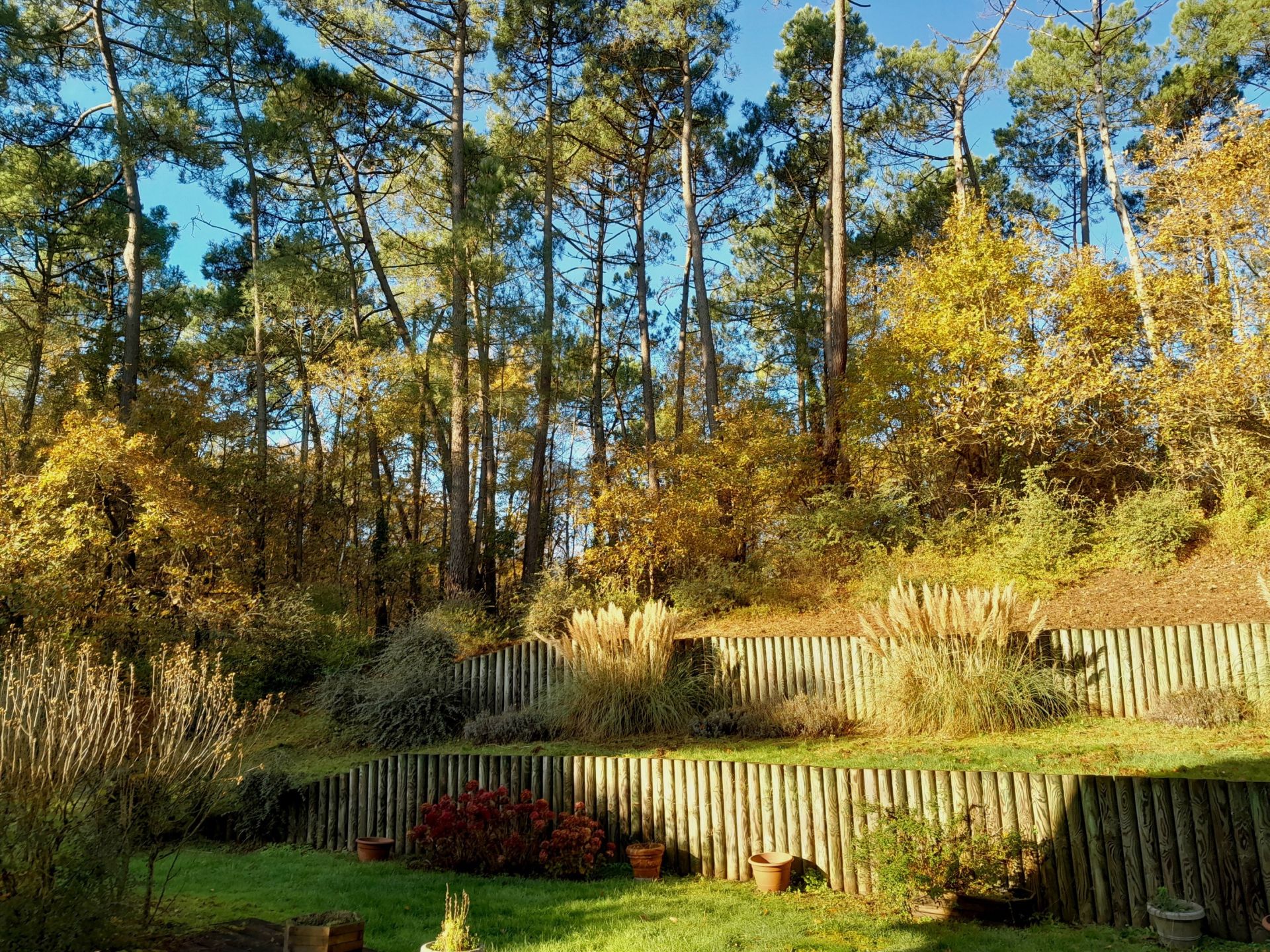 maison 7 Pièces en vente sur LE TOUQUET PARIS PLAGE (62520)