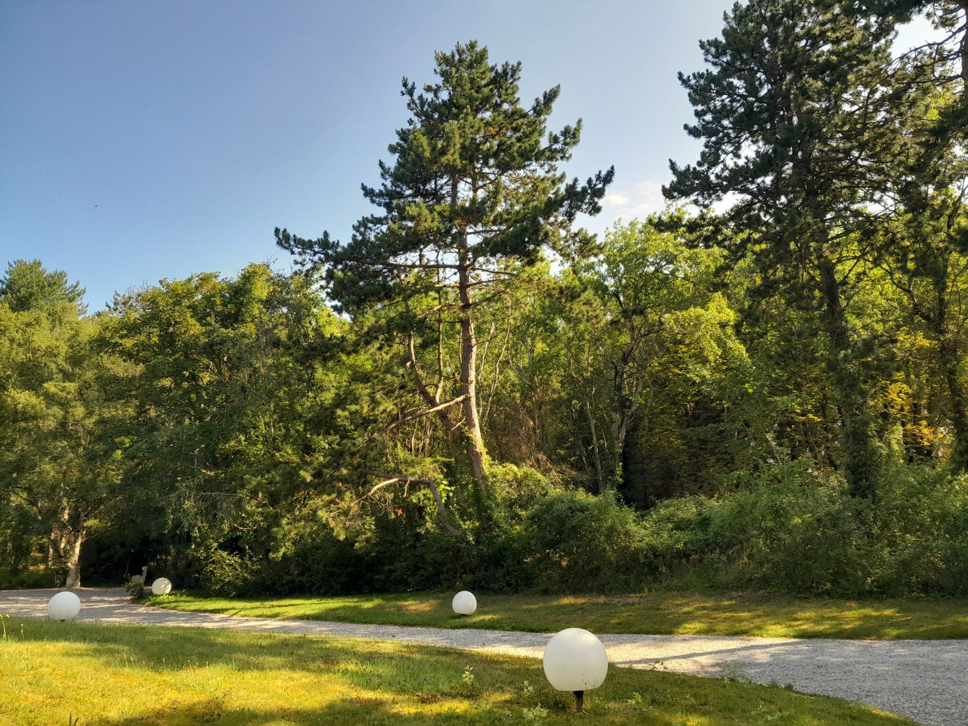 villa 7 Rooms for sale on LE TOUQUET PARIS PLAGE (62520)