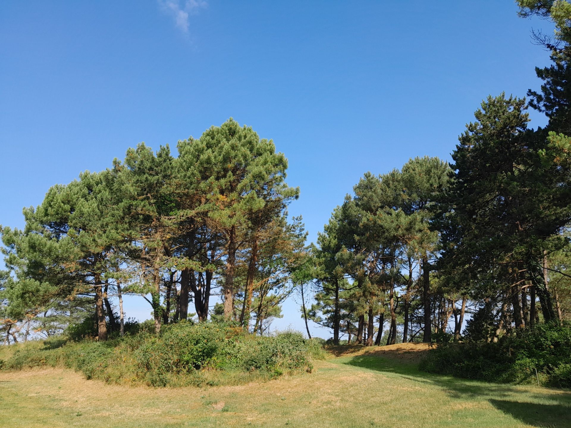 villa 7 Pièces en vente sur LE TOUQUET PARIS PLAGE (62520)