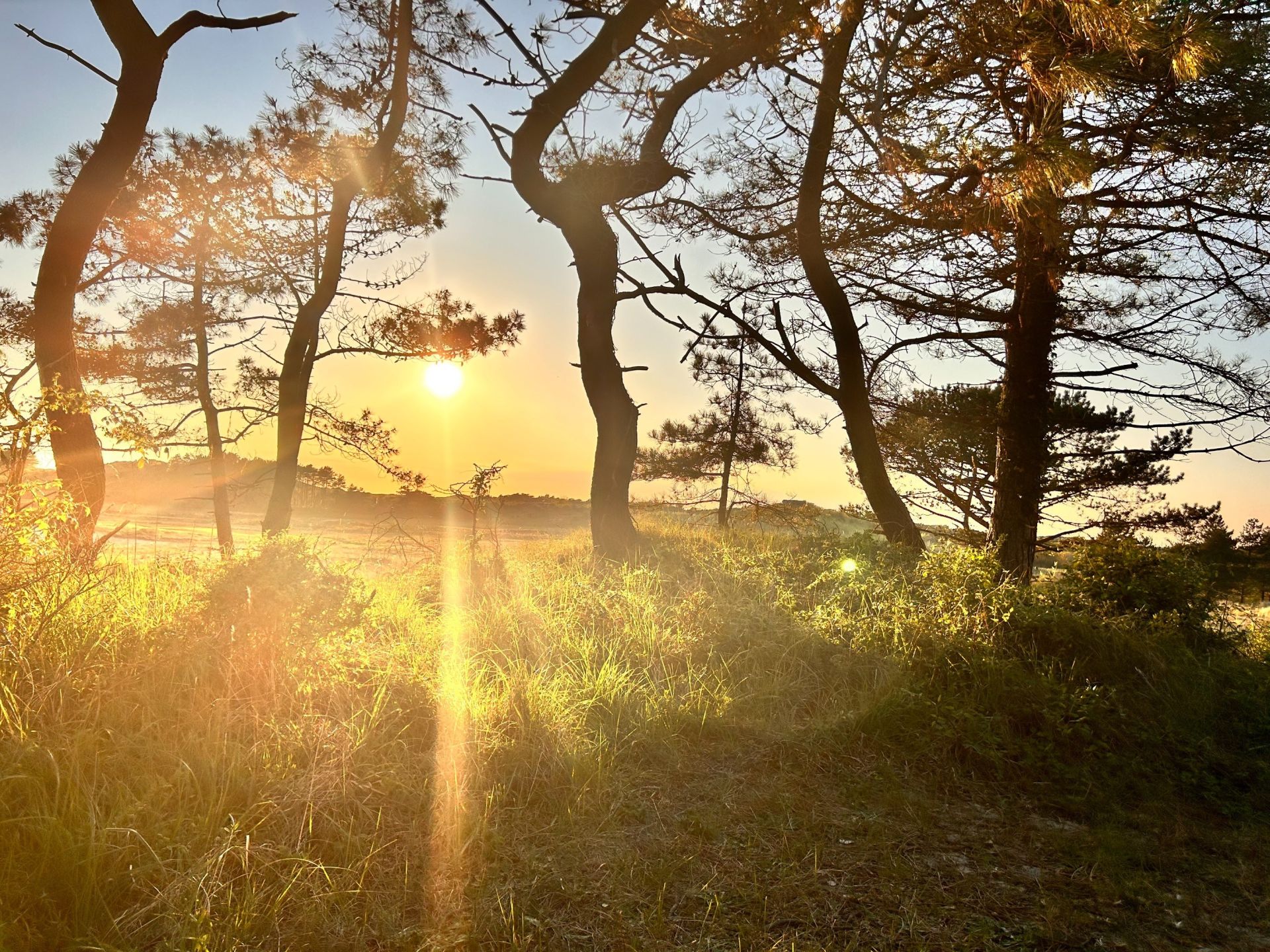 villa 7 Rooms for sale on LE TOUQUET PARIS PLAGE (62520)