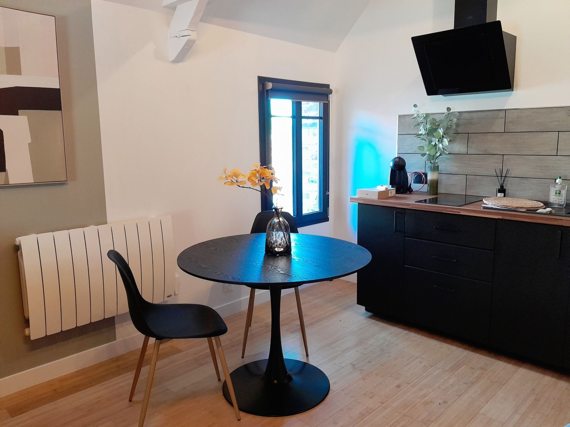 appartement 1 pièce en location saisonnière sur ETAPLES (62630)