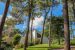 house 10 Rooms for sale on LE TOUQUET PARIS PLAGE (62520)