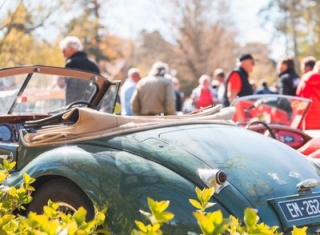 Aux marches du Palais – Rassemblement d’automobiles de collection