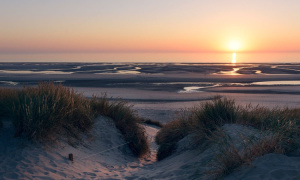 Confiez-nous votre recherche