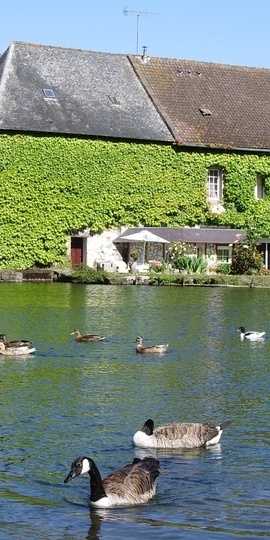 Vivre à la campagne