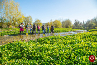 Village Life and Authenticity