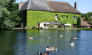 Live in the countryside