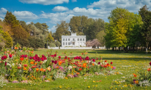 Our exceptional properties